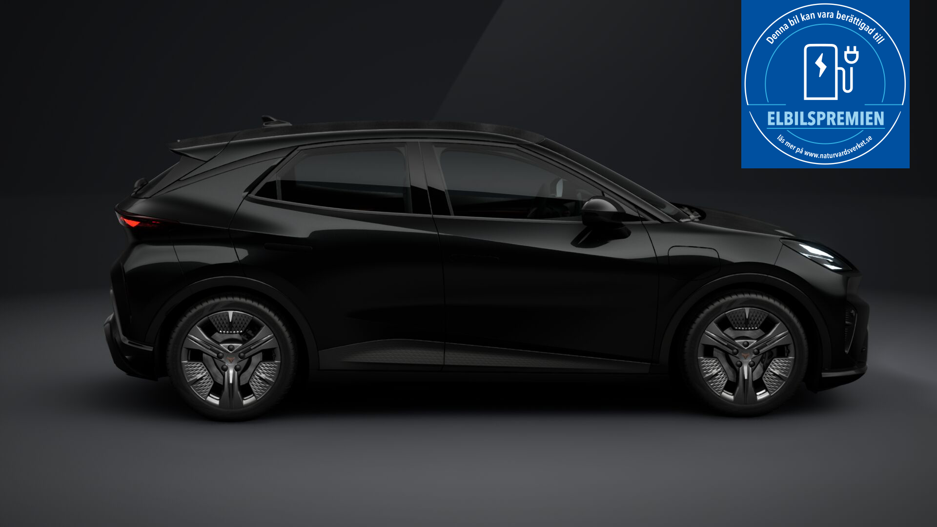 Cupra Raval